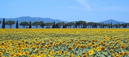 Featured image for “Viajando até o coração da Toscana”