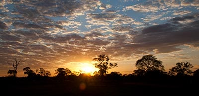 Pantanal