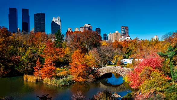 new-york-central-park